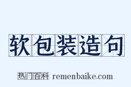 软包装造句是什么意思的图片